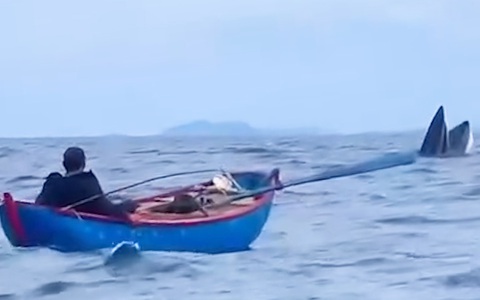 Ngư dân quay được cảnh cá voi đớp mồi ở vùng biển Bình Định
