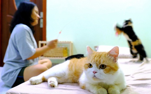 Ngoài 30 mới tính chuyện kết hôn