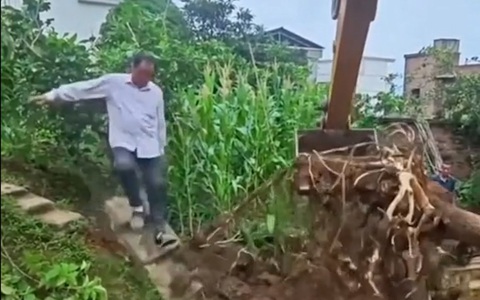 Người đàn ông ngã dập mông khi xem máy xúc đào gốc cây