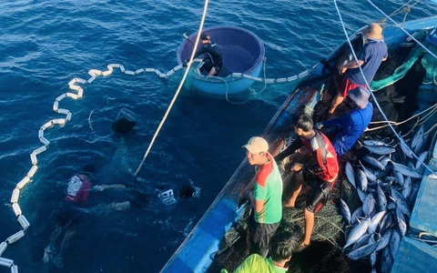 'Vận động viên' cừ khôi nào từ biển cả đang được Tây Ban Nha ưa chuộng?