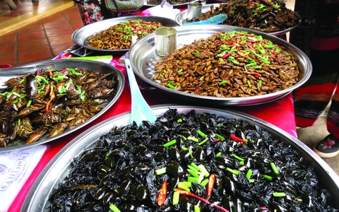 Món côn trùng, bếp núc ngày càng sáng tạo