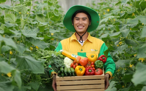 WinEco đưa xà lách Thủy tinh của Việt Nam sang Hàn Quốc