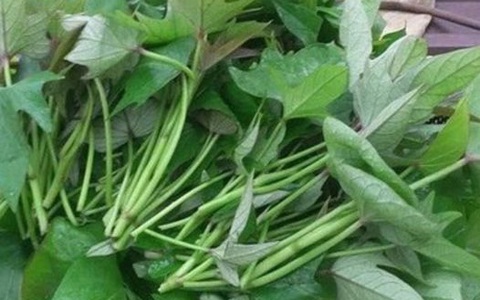 Rau lang 'thần dược' chữa nhiều bệnh, nhưng ăn sai sẽ nguy hại