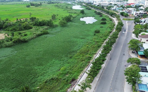 Lục bình phủ kín gây tắc nghẽn, sông Bàn Thạch chờ được giải cứu