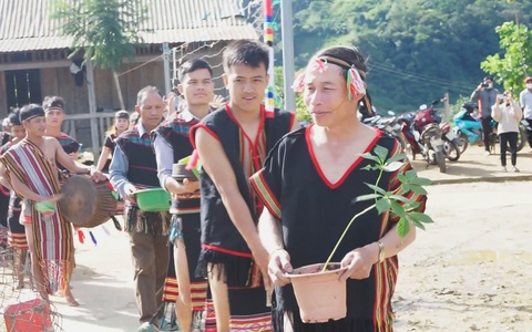 Độc đáo lễ cúng thần sâm Ngọc Linh của đồng bào Xê Đăng