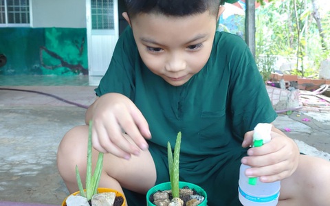 Nghỉ hè dạy con trồng cây, nhận ra nhiều bài học quý giá