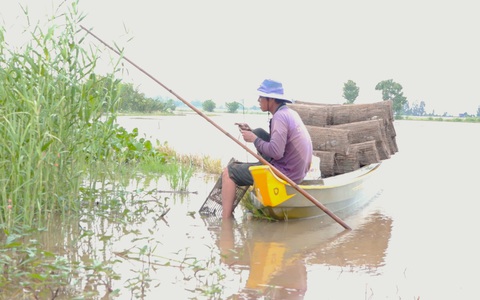 Miền Tây đầu mùa nước nổi