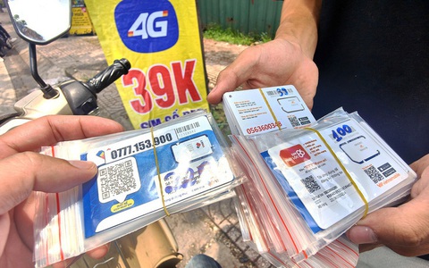 Ai bắc thang cho trộm vào nhà?