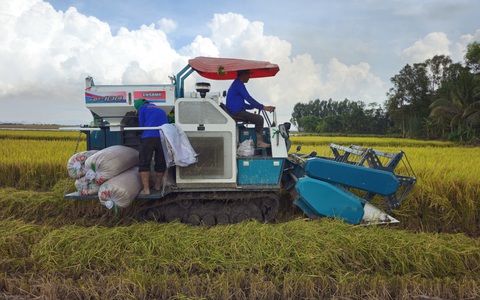 Sơ kết đề án 1 triệu ha lúa chất lượng cao: Tăng lợi nhuận, giảm khí CO₂