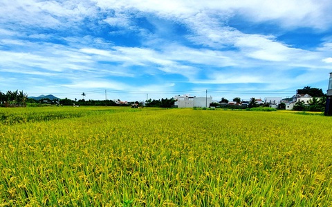 Dân ở nơi sáp nhập xã, phường có bị buộc phải điều chỉnh giấy tờ đất đai?