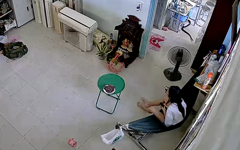 Cô gái hồn bay phách lạc khi 'bé Na' khủng ghé thăm nhà
