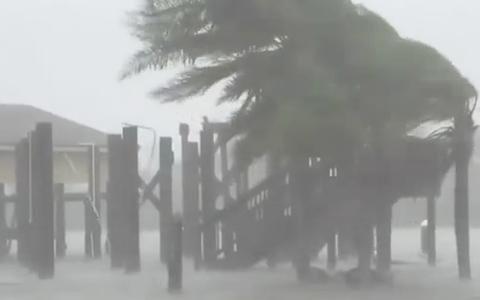 Bão Francine đổ bộ vào bang Louisiana, Mỹ đe dọa lũ lụt diện rộng