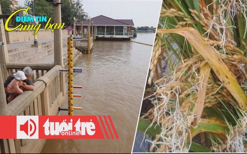 Điểm tin 8h: Ngành lúa gạo thiệt hại 3.000 tỉ đồng; Thái Lan chuẩn bị đối phó thiên tai...
