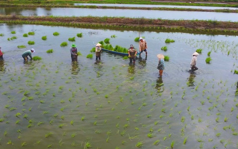 Góc nhìn trưa nay | ‘Làm chơi, ăn thật’ với mô hình lúa – tôm