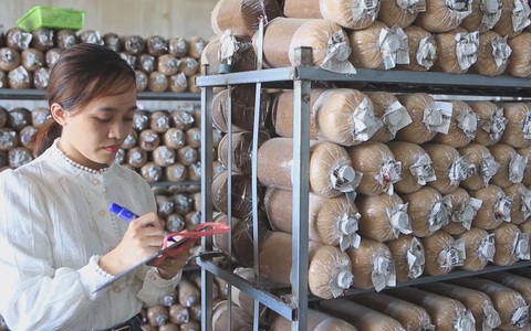 Góc nhìn trưa nay | Tạo sinh kế bền vững từ những mô hình khuyến nông