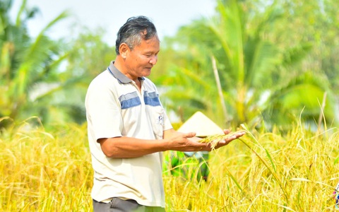 Người phục dựng 40 giống lúa mùa được công nhận ‘nhà khoa học của nhà nông’