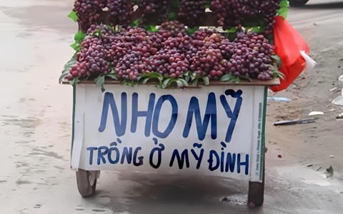 Ảnh vui 24-9: Nho Mỹ nhưng được trồng ở... Mỹ Đình