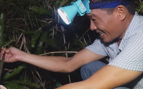 Góc nhìn trưa nay: Những nông dân tay không bắt rắn ở xứ Cà Mau
