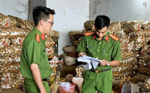 Trung tâm làm giả khoai tây Đà Lạt nằm ở đâu?