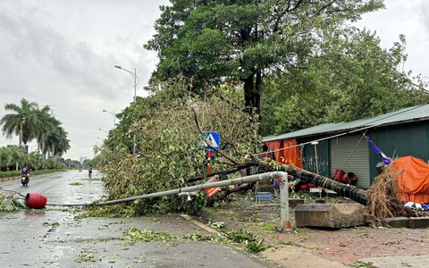 Trực tiếp: Các tỉnh miền Bắc ngổn ngang cảnh gãy đổ sau cơn bão số 3 Yagi càn quét