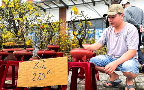 27 tháng Chạp đã 'xả hàng', chợ hoa Tết Quảng Ngãi vẫn vắng người mua