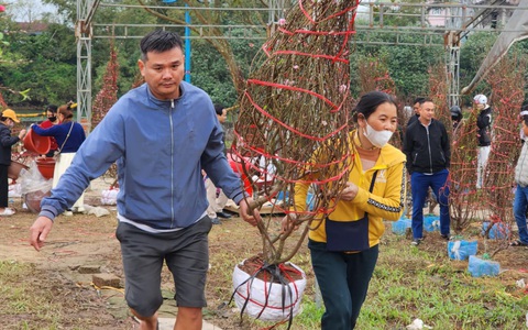 Chiều cuối năm, nhà đủ hoa rồi vẫn ra chợ mua thêm vì thương người bán hoa Tết đang ế