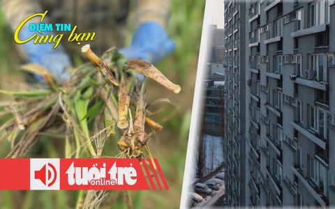 Điểm tin 8h: Làng hoa lay ơn lớn nhất miền Trung mất Tết; Chênh lệch chi phí nhà ở tại châu Âu