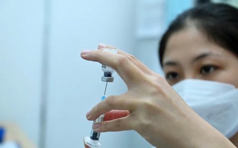 TP.HCM cảnh báo nguy cơ dịch sốt xuất huyết bùng phát sớm