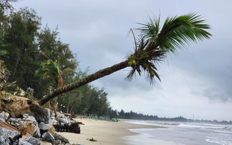 Bãi biển Mỹ Khê sạt lở nghiêm trọng, nguy cơ bị xóa sổ