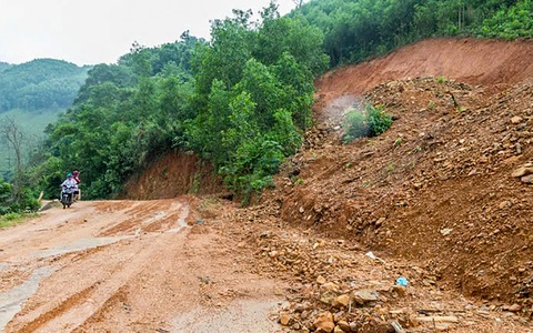 Định giá tiền tỉ, ba lần đấu giá không thành lô gỗ rừng tự nhiên để mở đường