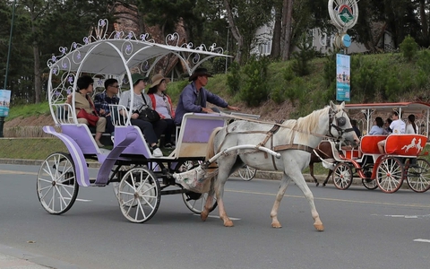 Đà Lạt dừng dịch vụ xe ngựa ở hồ Xuân Hương: Rất tốt nhưng rất tiếc