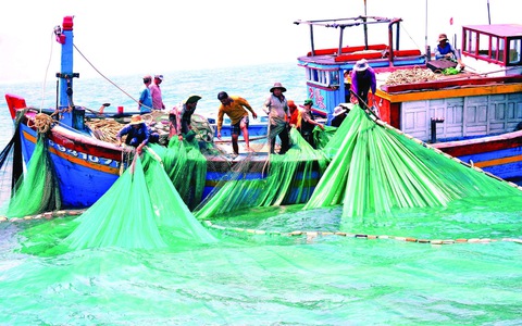Nước mắm An Dũ, phận buồn man mác