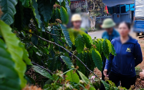 Công an xác minh vụ bắt công nhân đóng bảo hiểm bằng cà phê