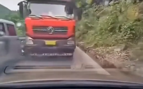 Tài xế nhanh trí lùi ô tô thoát nạn trong gang tấc