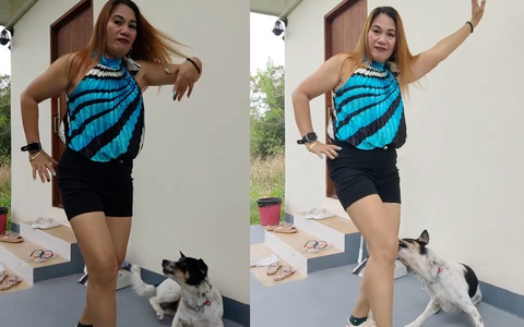 Bị chó táp khi nhún nhảy làm màu