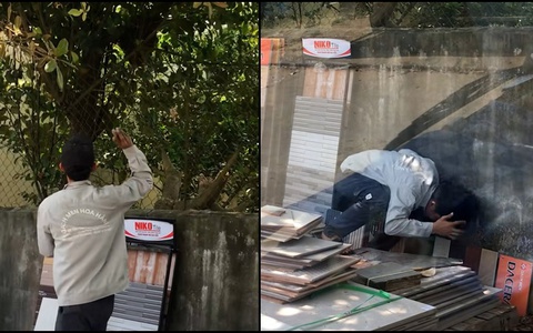 Thanh niên tởn đến già khi trổ tài bắt ong