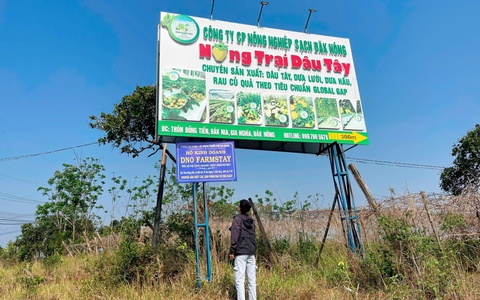 Vụ farmstay bất ngờ bị đóng mã số thuế: Chủ tịch xã báo cáo gì?