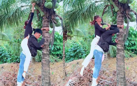Cô gái sưng miệng khi trổ tài hái dừa