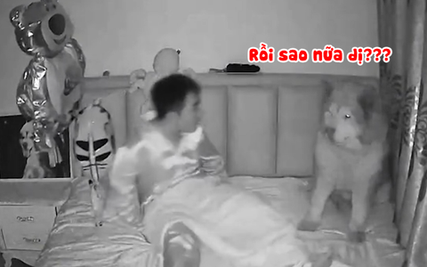 Cậu chủ hú hồn khi chó cưng ngồi lù lù ở đầu giường giữa đêm