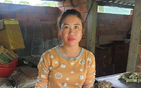 Khởi tố người phụ nữ cất giấu rắn hổ chúa và chồn bay