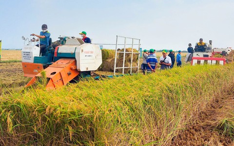 Cần nâng cao năng lực và vai trò của hợp tác xã để thực hiện đề án 1 triệu ha lúa