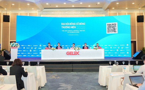 GELEX thông qua mục tiêu doanh thu 37.600 tỉ đồng, có thành viên HĐQT mới