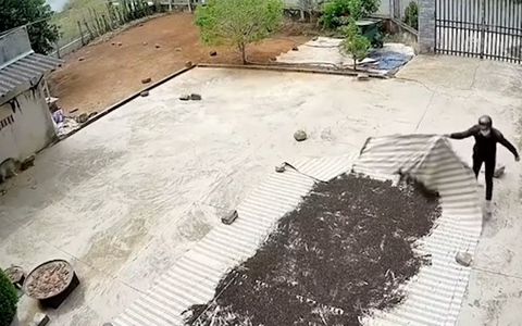 Mất 'tiêu' luôn