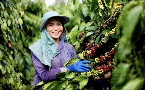 Xuất khẩu cà phê, gỗ, thủy sản tăng mạnh, ngành nông nghiệp hướng tới mục tiêu 70 tỉ USD