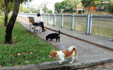 Thấy cái ác: Đứng xem hay can ngăn?