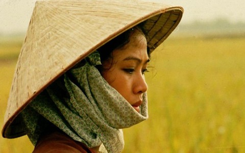 Thương nhớ đồng quê, thương nông dân mình lắm!
