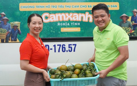 Tín hiệu tốt cho cam sành miền Tây