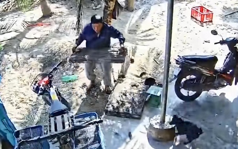 Đứng hình khi đàn chuột đồng 'biến' thành chuột nhà