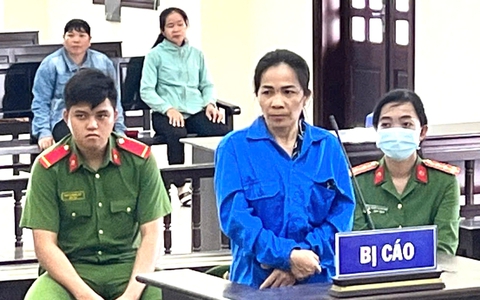 Vay nợ sau để trả lãi nợ trước hàng chục tỉ đồng, bị phạt 13 năm tù tội lừa đảo