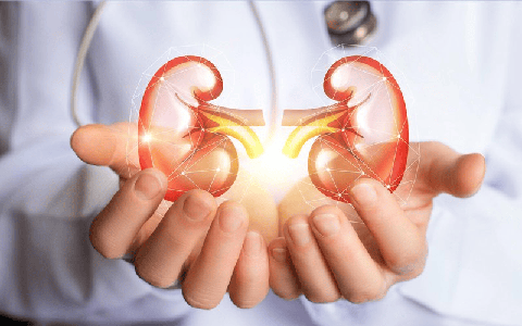 Sáng thức giấc mí mắt sưng rồi lan xuống chân, coi chừng mắc bệnh về thận